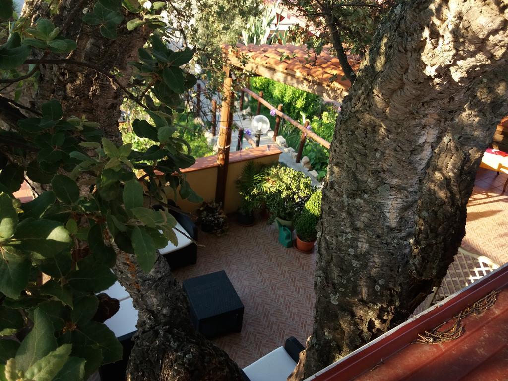 S'Arriali Ranch Guest House Iglesias Luaran gambar