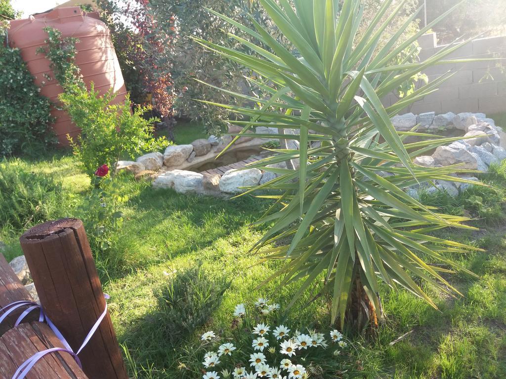 S'Arriali Ranch Guest House Iglesias Luaran gambar